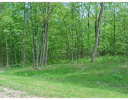 View the Featured Listings